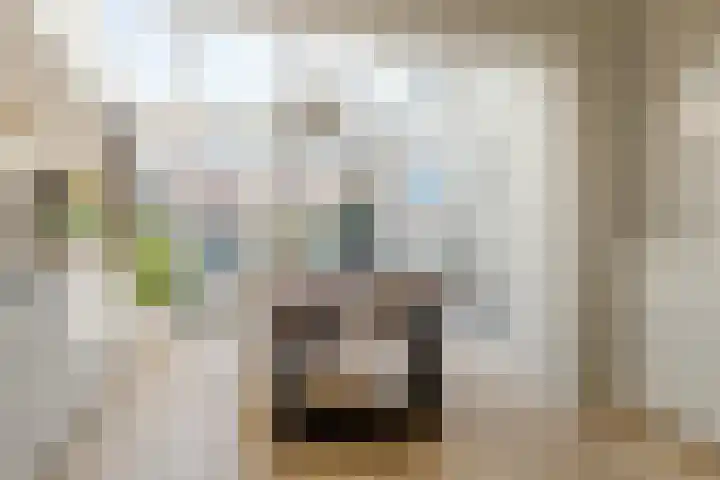 van Lingenshoeve 12 Hattem thumbnail 22