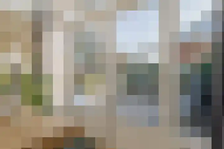 van Lingenshoeve 12 Hattem thumbnail 30