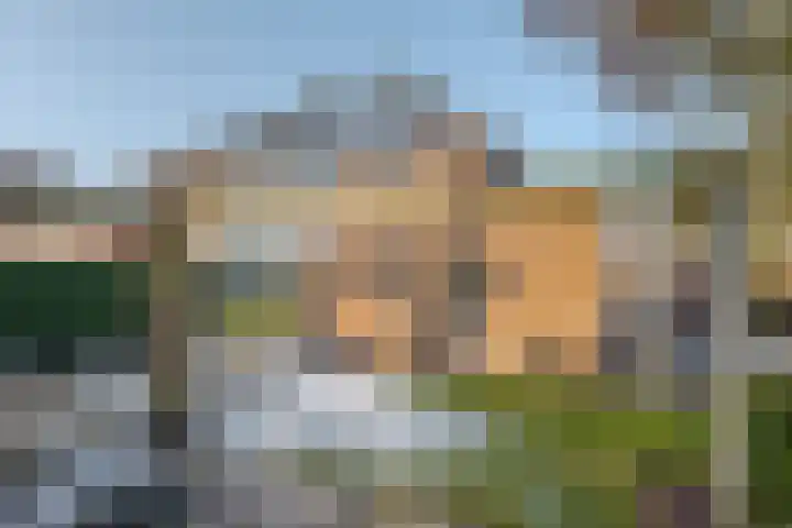 van Lingenshoeve 12 Hattem thumbnail 31