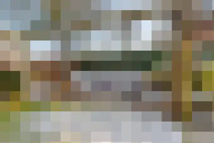 van Lingenshoeve 12 Hattem thumbnail 36