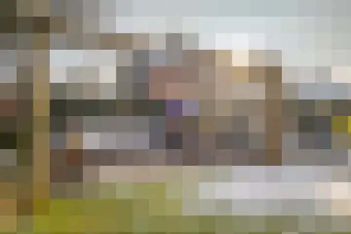 van Lingenshoeve 12 Hattem thumbnail 38