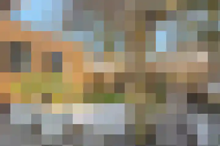 van Lingenshoeve 12 Hattem thumbnail 39