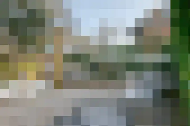 van Lingenshoeve 12 Hattem thumbnail 4