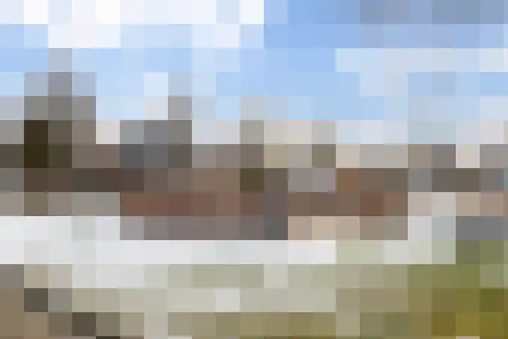 van Lingenshoeve 12 Hattem thumbnail 5