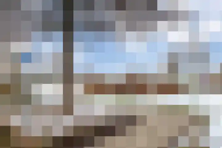 van Lingenshoeve 12 Hattem thumbnail 64
