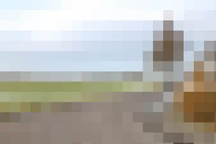 van Lingenshoeve 12 Hattem thumbnail 66