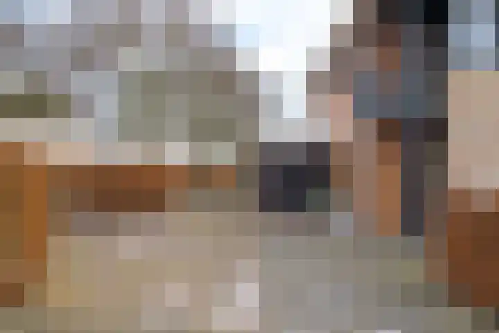 van Lingenshoeve 12 Hattem thumbnail 7