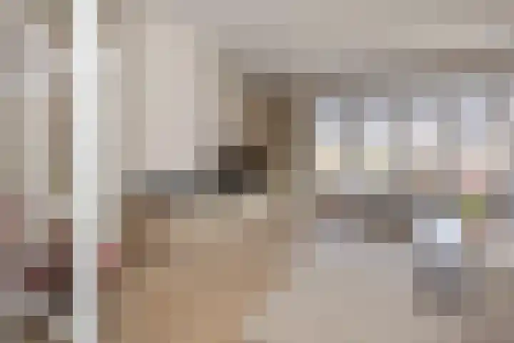 van Lingenshoeve 5 Hattem thumbnail 10