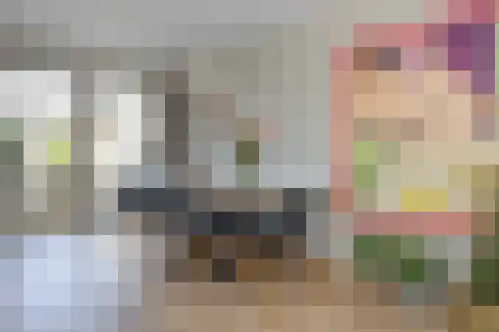 van Lingenshoeve 5 Hattem thumbnail 16