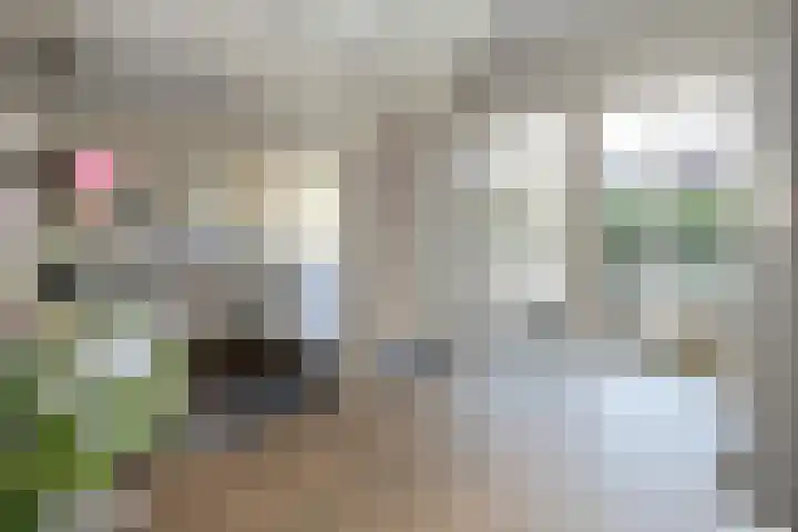 van Lingenshoeve 5 Hattem thumbnail 17