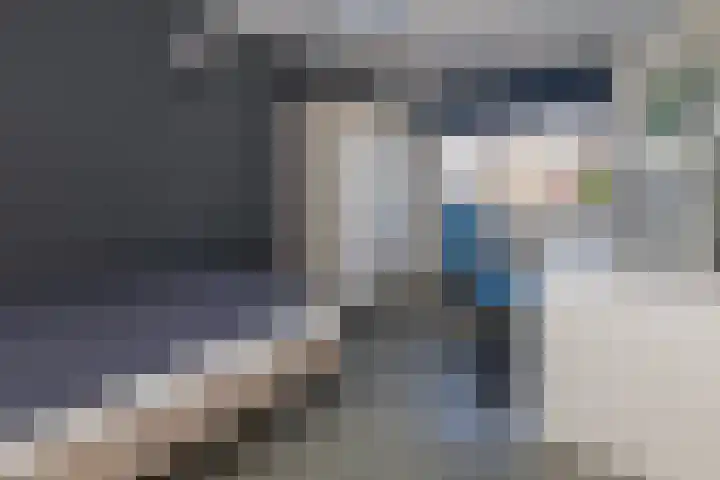 van Lingenshoeve 5 Hattem thumbnail 31