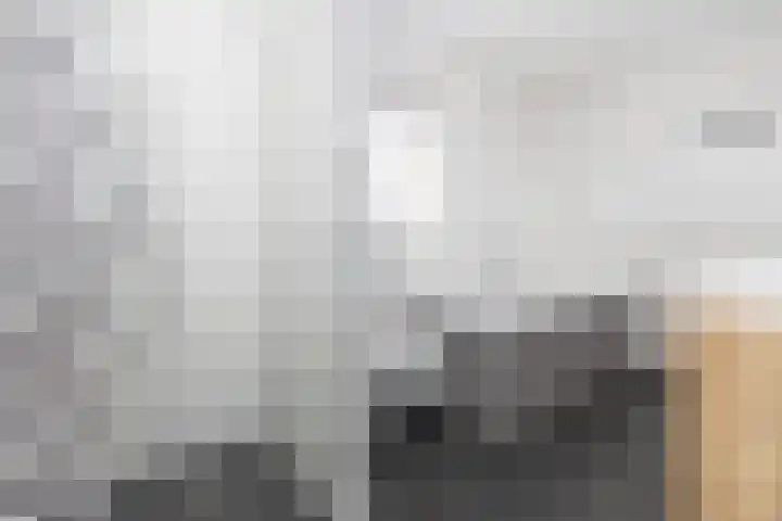 van Lingenshoeve 5 Hattem thumbnail 34