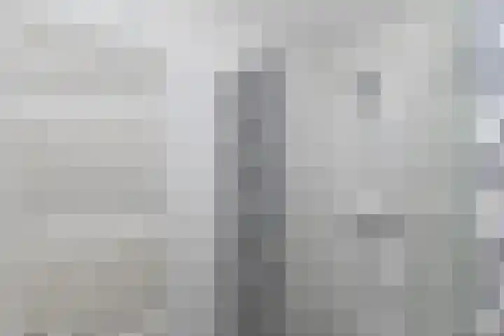 van Lingenshoeve 5 Hattem thumbnail 35