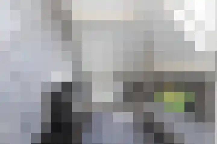 van Lingenshoeve 5 Hattem thumbnail 42