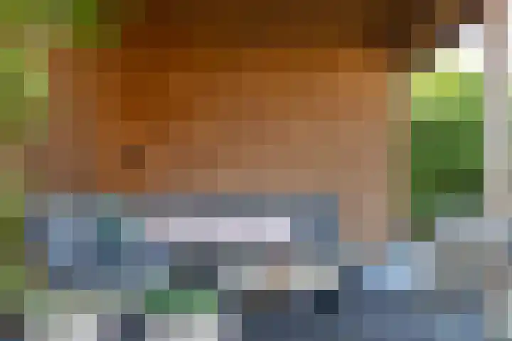 van Lingenshoeve 5 Hattem thumbnail 49