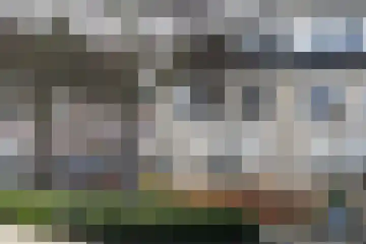 van Lingenshoeve 5 Hattem thumbnail 5