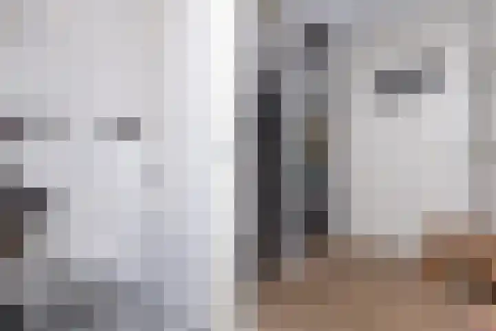 van Lingenshoeve 5 Hattem thumbnail 6