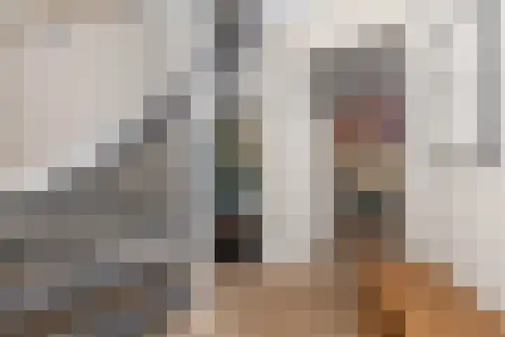van Lingenshoeve 5 Hattem thumbnail 7