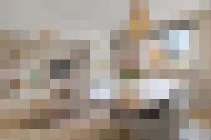 Van Linschotenlaan 18 Hilversum thumbnail 12
