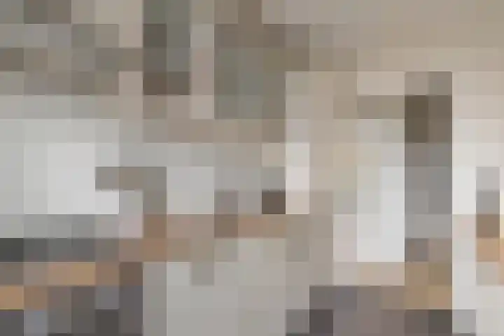 Van Linschotenlaan 18 Hilversum thumbnail 16