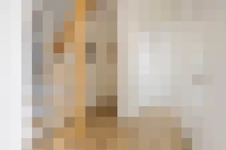 Van Linschotenlaan 18 Hilversum thumbnail 21