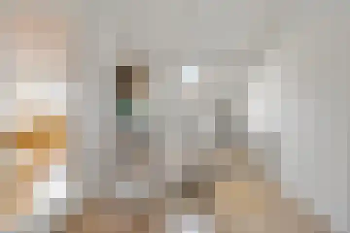 Van Linschotenlaan 18 Hilversum thumbnail 22