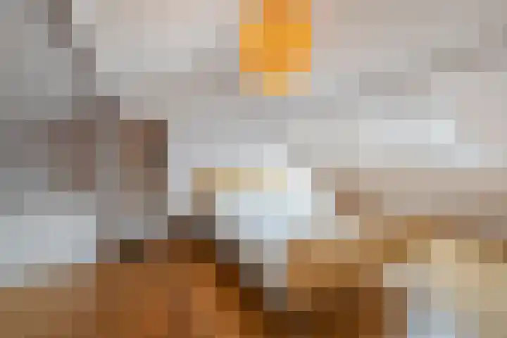 Van Linschotenlaan 18 Hilversum thumbnail 23