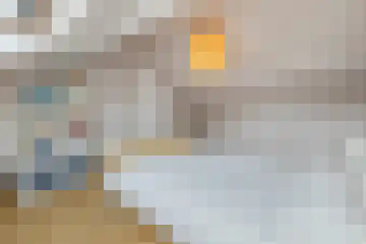 Van Linschotenlaan 18 Hilversum thumbnail 25