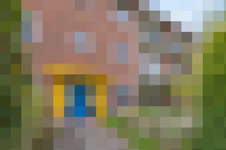 Van Linschotenlaan 18 Hilversum thumbnail 4