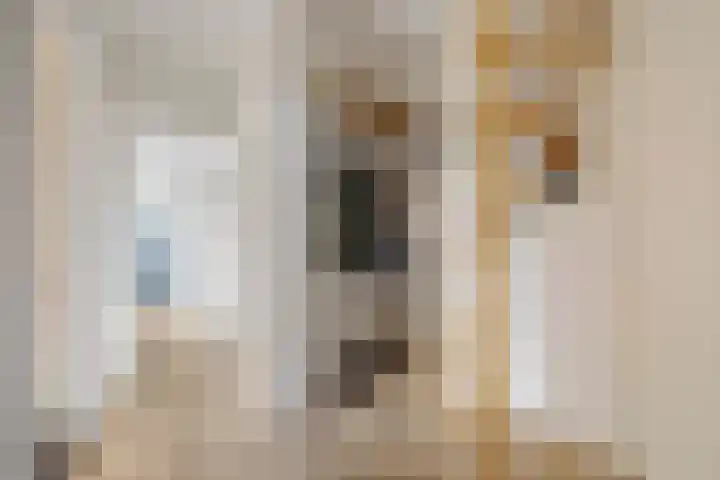 Van Linschotenlaan 18 Hilversum thumbnail 5