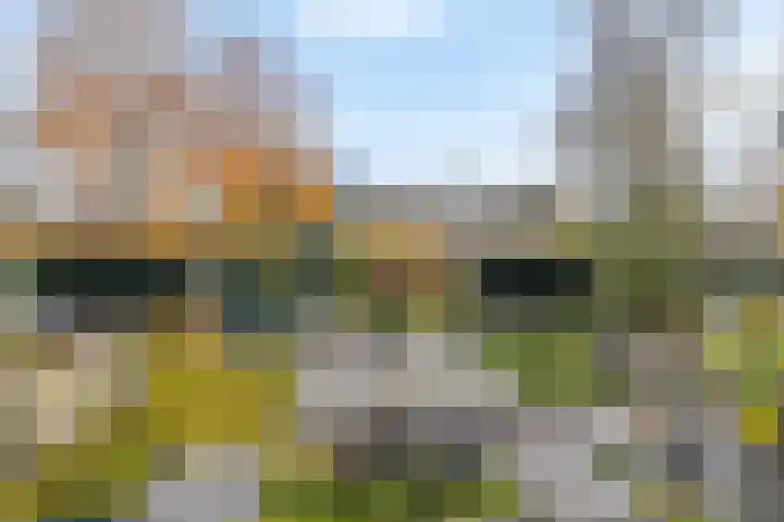 Van Linschotenlaan 18 Hilversum thumbnail 8