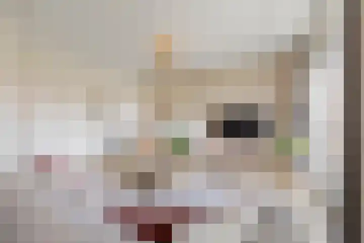 Van Linschotenlaan 18 Hilversum thumbnail 9