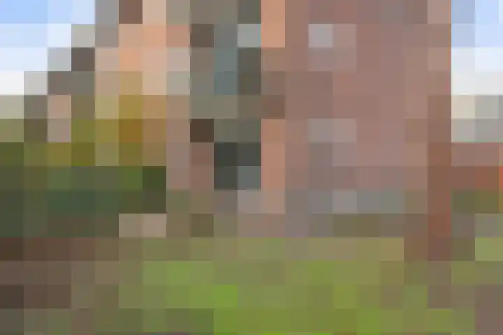 Van Linschotenlaan 2 Hilversum thumbnail 34