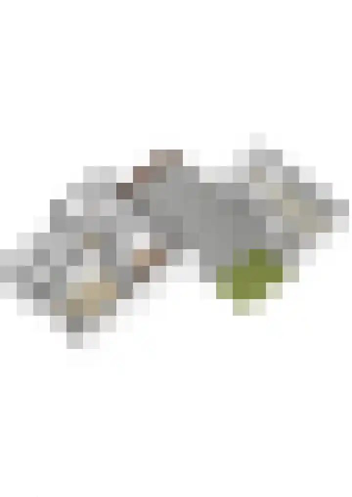 Van Linschotenlaan 2 Hilversum thumbnail 44
