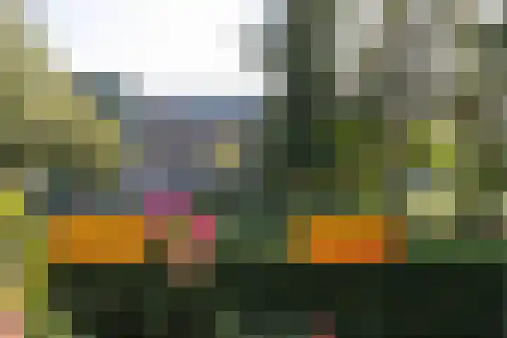 Van Linschotenlaan 22 Hilversum thumbnail 10