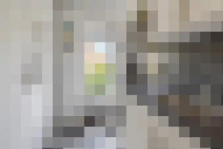 Van Linschotenlaan 22 Hilversum thumbnail 11