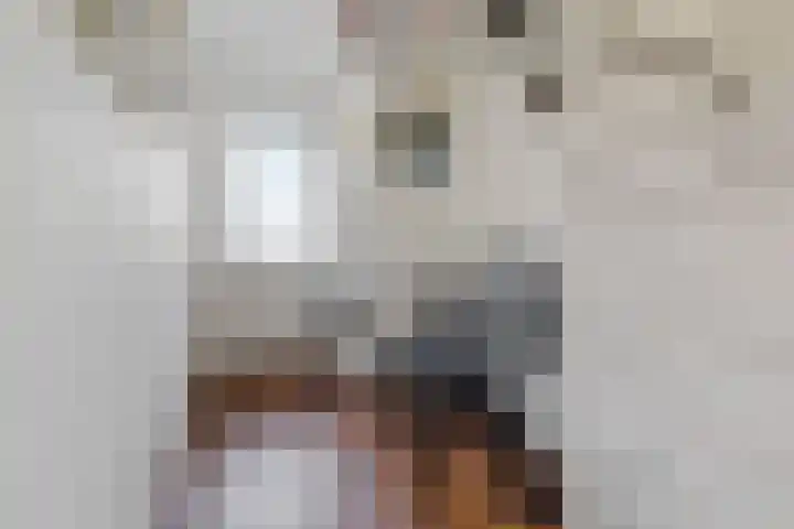 Van Linschotenlaan 22 Hilversum thumbnail 17