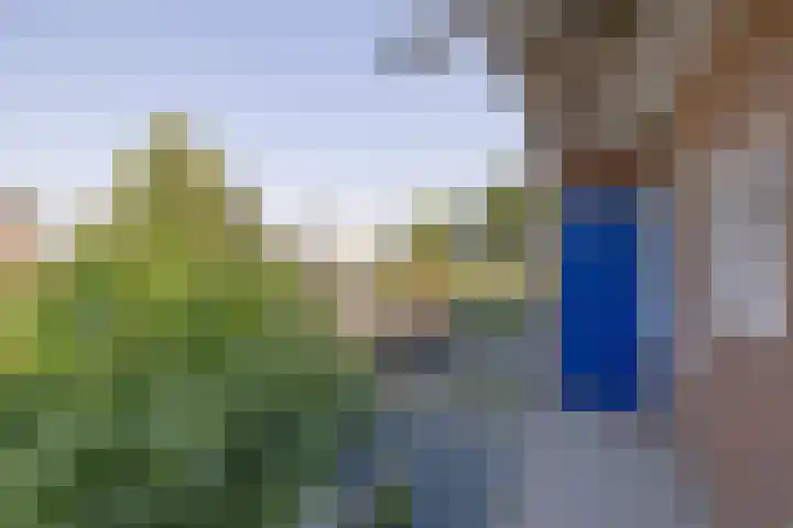 Van Linschotenlaan 22 Hilversum thumbnail 19