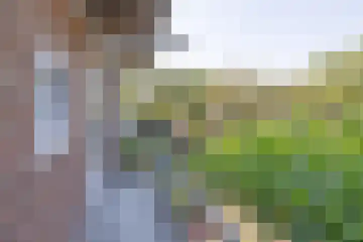 Van Linschotenlaan 22 Hilversum thumbnail 20