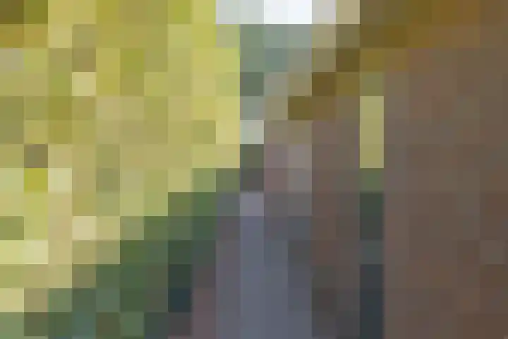 Van Linschotenlaan 22 Hilversum thumbnail 24
