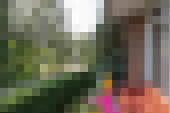 Van Linschotenlaan 22 Hilversum thumbnail 8