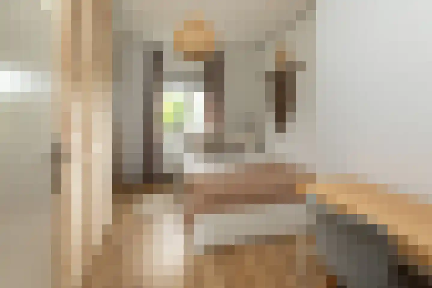 Van Linschotenlaan 282 Hilversum thumbnail 18