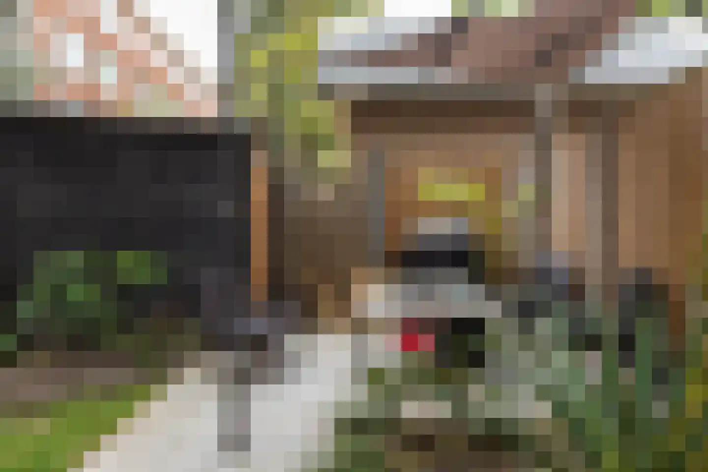 Van Linschotenlaan 282 Hilversum thumbnail 25