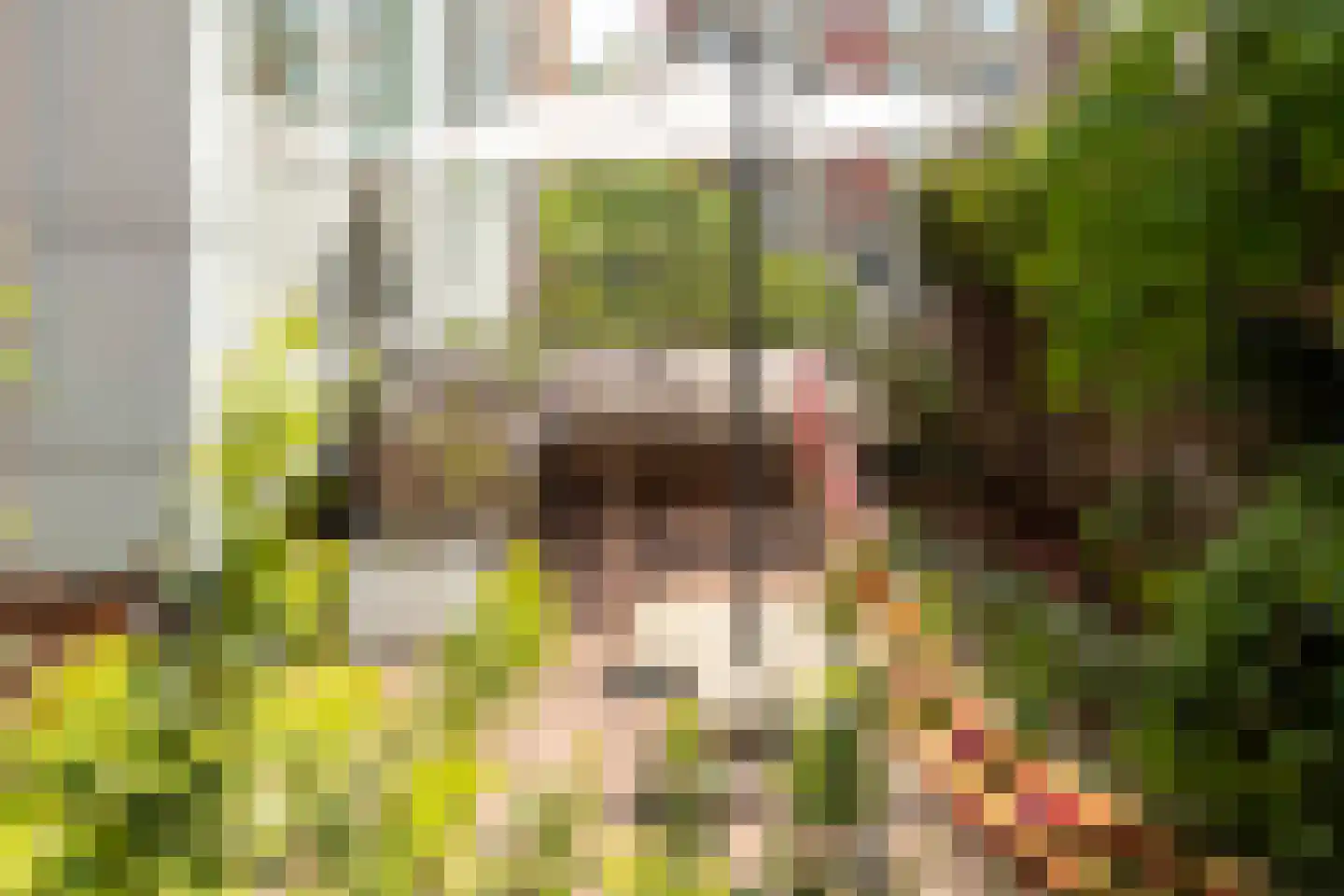 Van Linschotenlaan 282 Hilversum thumbnail 6