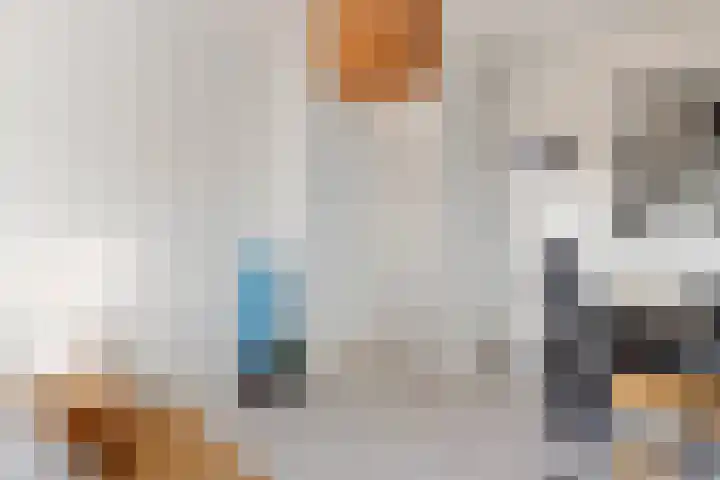 Van Linschotenlaan 286 Hilversum thumbnail 20