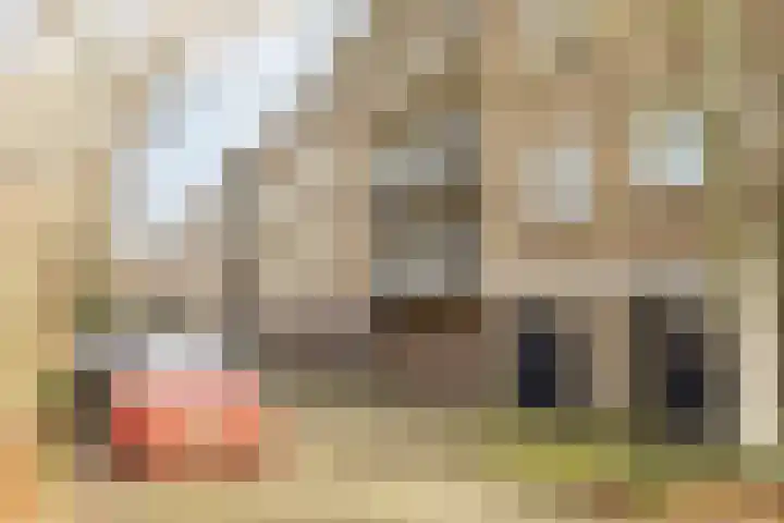 Van Linschotenlaan 316 Hilversum thumbnail 15