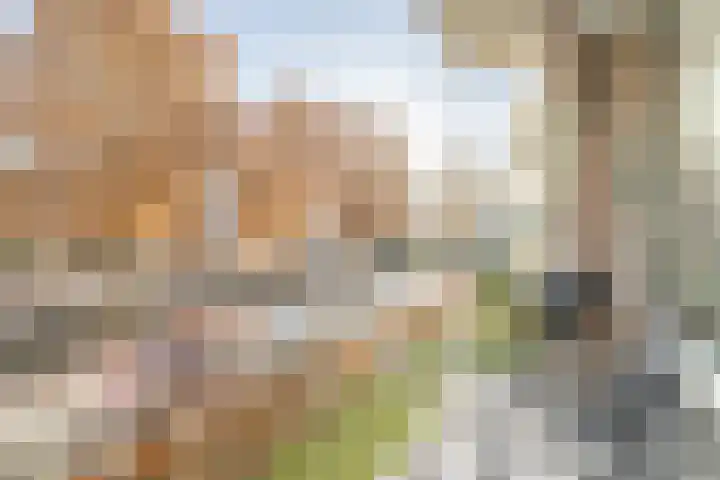 Van Linschotenlaan 316 Hilversum thumbnail 8