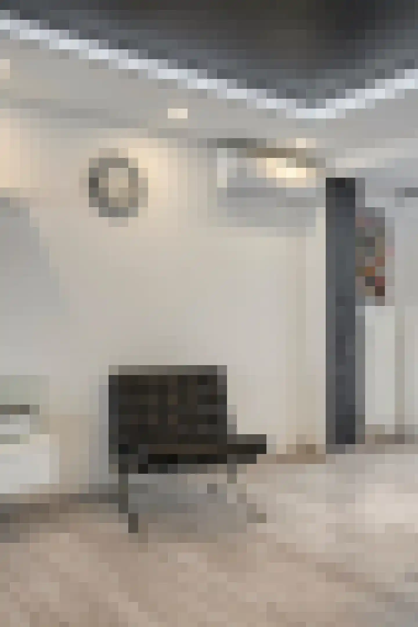 Van Linschotenstraat 10 Tilburg thumbnail 11
