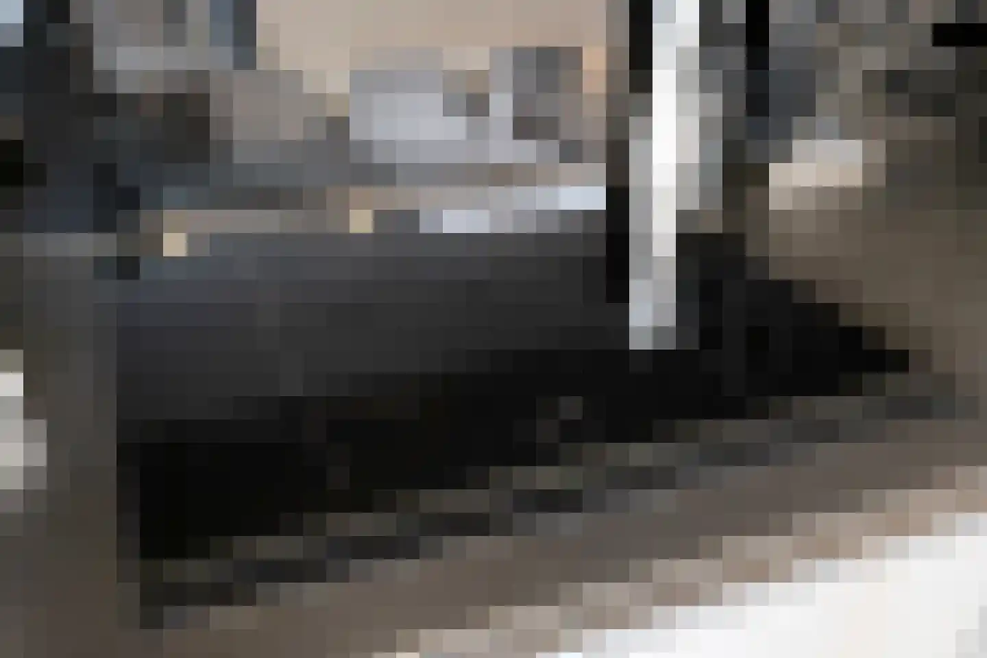 Van Linschotenstraat 10 Tilburg thumbnail 16