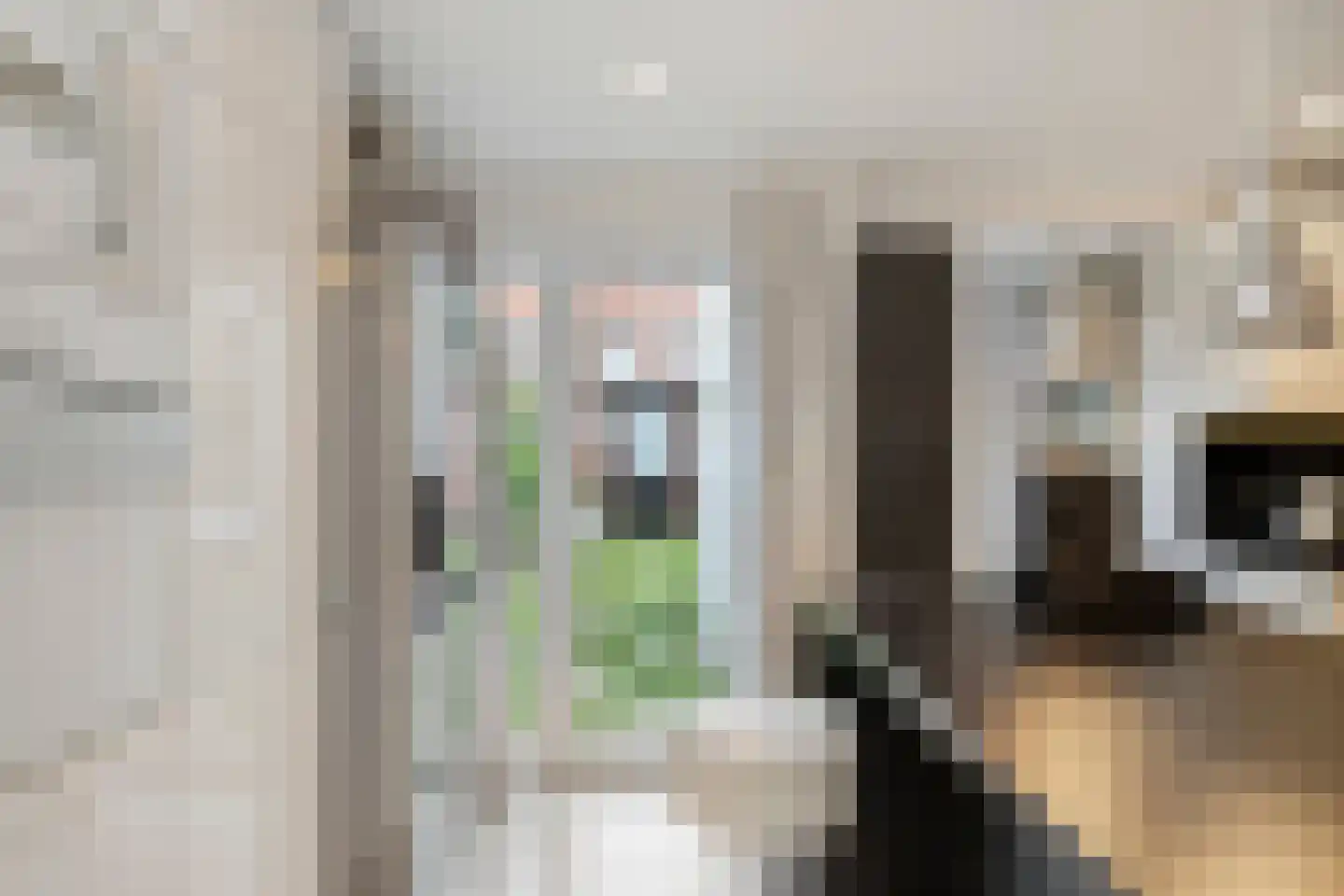 Van Linschotenstraat 10 Tilburg thumbnail 19